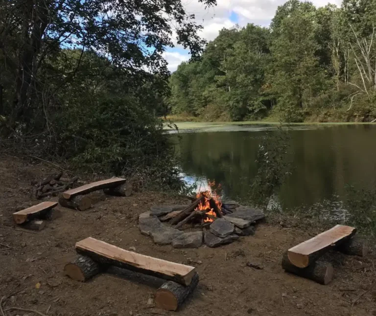 pine tree firepit1