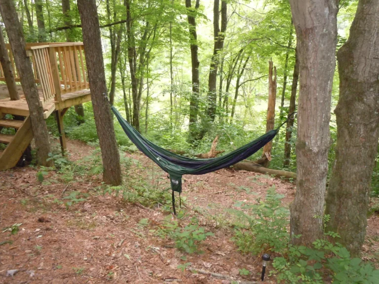 pine tree hammoc