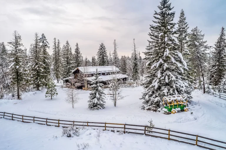 8bbcee68.f10