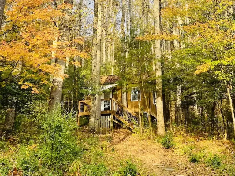 cozy eco cabin