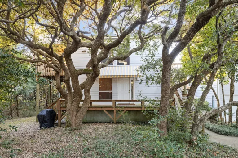 dogwood treehouse1