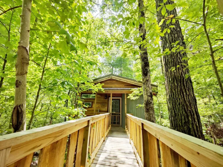 dove treehouse cabin