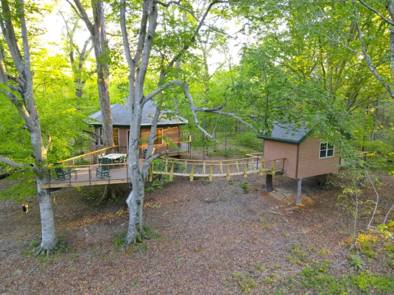 luxury treehouse wholecabin