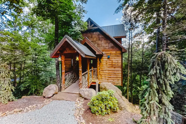 out on a limb cabin