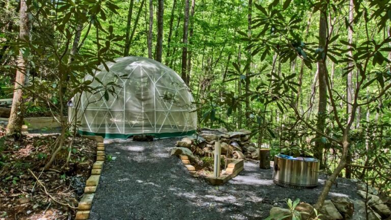 the maple picnic domes