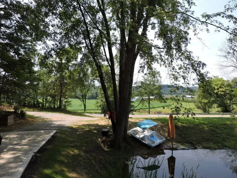 the overlook pond