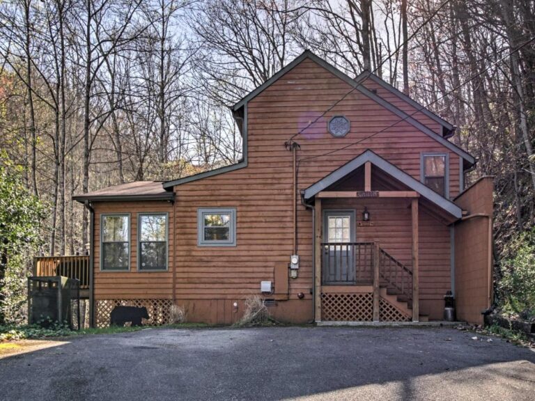 treetop cabin whole cabin