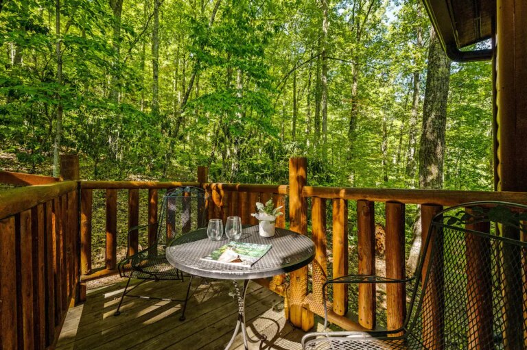 Beary-Sweet-Retreat-Cozy-2-Bed2Bath-Cabin-wPrivate-Hot-Tub-Backs-to-GSMNP5.jpeg