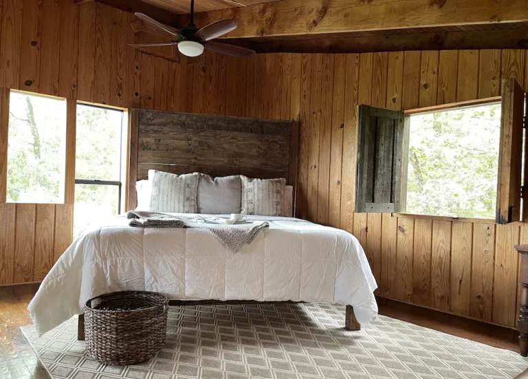 Cabin in the Mountains2