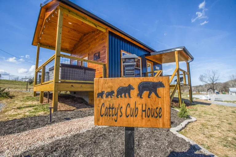 Catty's Cub House