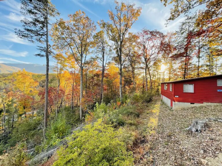 Cozy-Cabin-Great-Location-Mtn-Views1.jpeg
