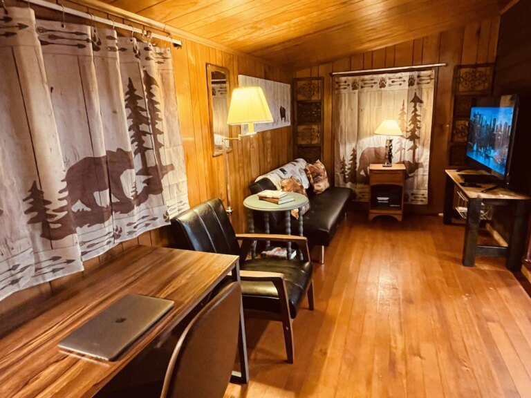 Cozy-Cabin-Great-Location-Mtn-Viewse3.jpeg