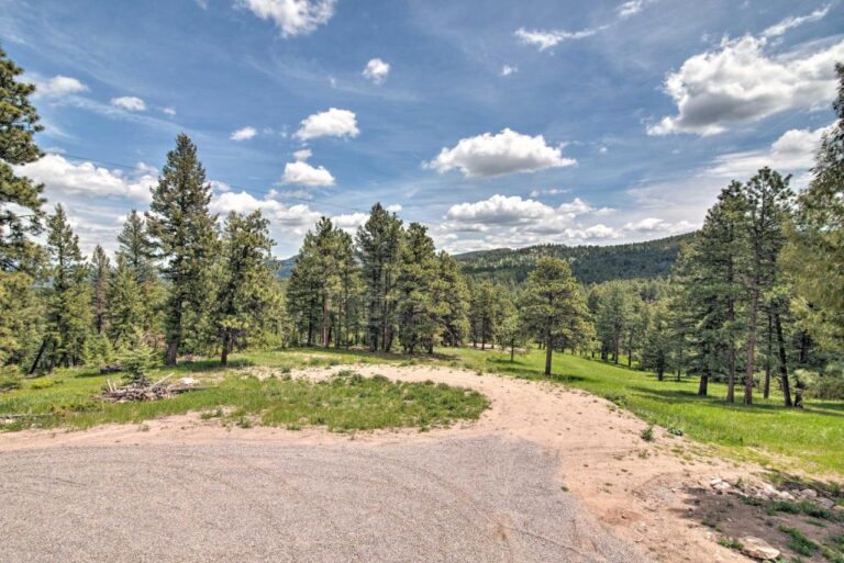 Modern-Evergreen-Cabin-on-35-Acres-with-Views4