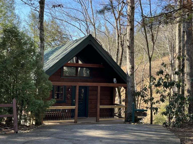 Romantic studio log cabin