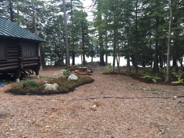 great pond shorelines2