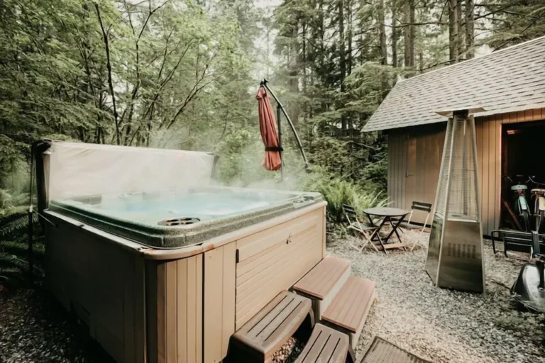 snow line cabin1