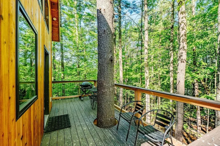 the canopy treehouse4