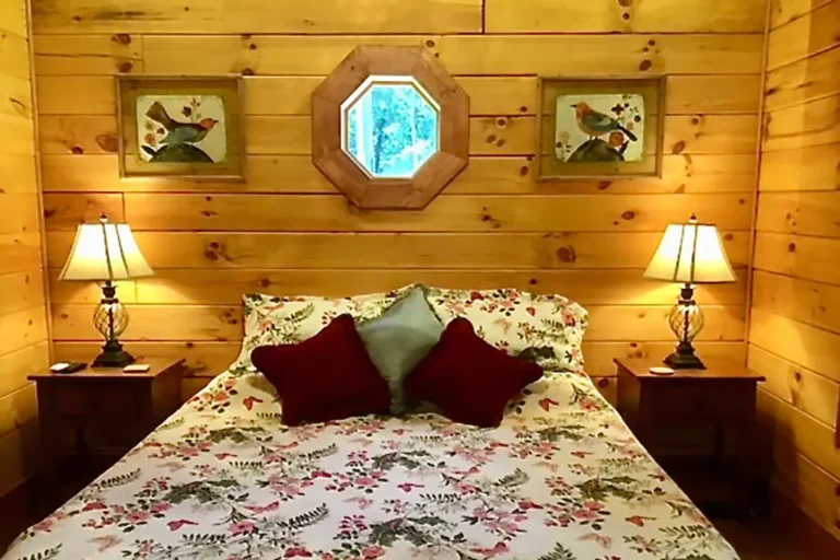Cuddly-Cub-Luxury-Cabin-with-Hot-tub-wifi-and-wood-burning-fireplace-3.jpeg