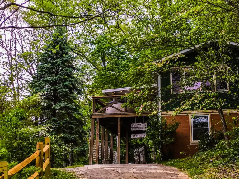 Nancy’s Treetop
