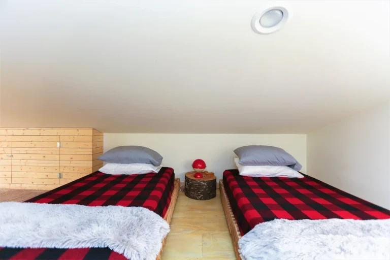 new cabin